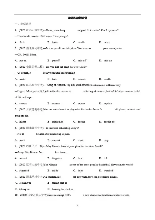 广东省中考英语复习语法精练：动词和动词短语
