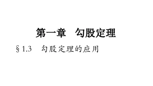 北师大版八年级上册1.3勾股定理应用课件(共18张PPT)