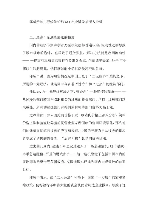 郎咸平的二元经济论和6+1产业链及其深入分析