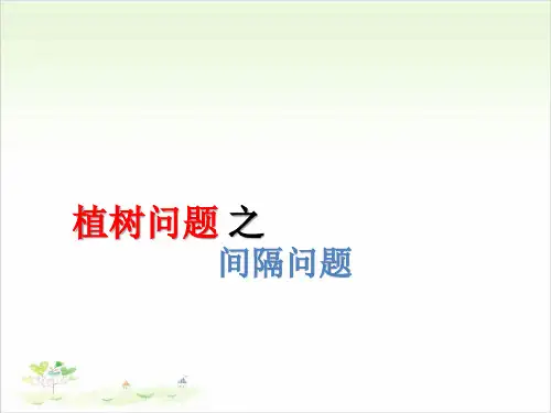 三年级上数学-奥数 植树问题 通用版PPT课件(49张)