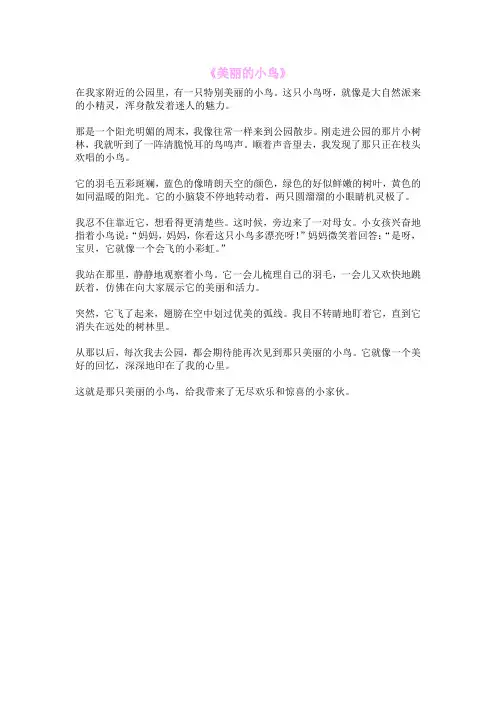 《美丽的小鸟》