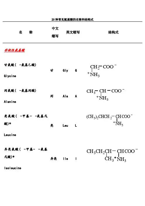 20种常见氨基酸