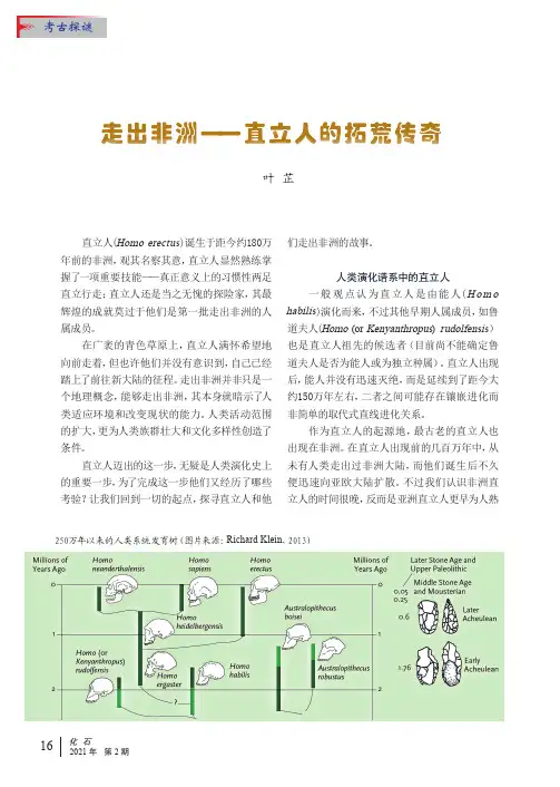 走出非洲——直立人的拓荒传奇