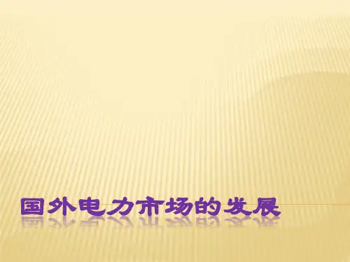 国外电力市场的发展PPT课件