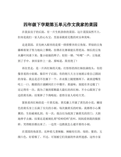 四年级下学期第五单元作文我家的菜园