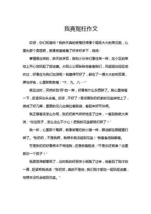 我真冤枉作文