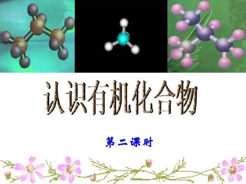 认识有机化合物第二课时 (1)