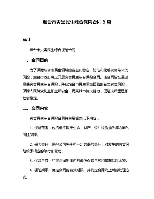 烟台市灾害民生综合保险合同3篇