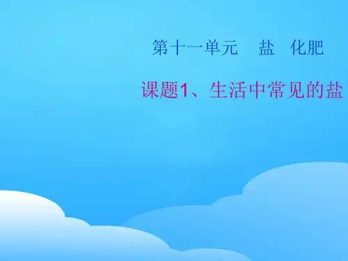 人教版初中化学九下11.1 生活中常见的盐 课件  ppt