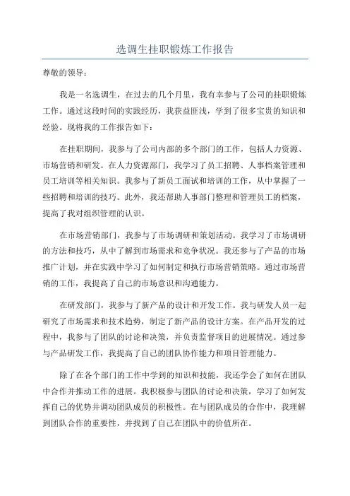 选调生挂职锻炼工作报告