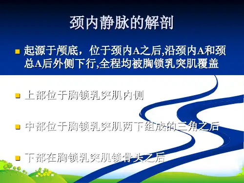 颈内静脉的解剖-课件