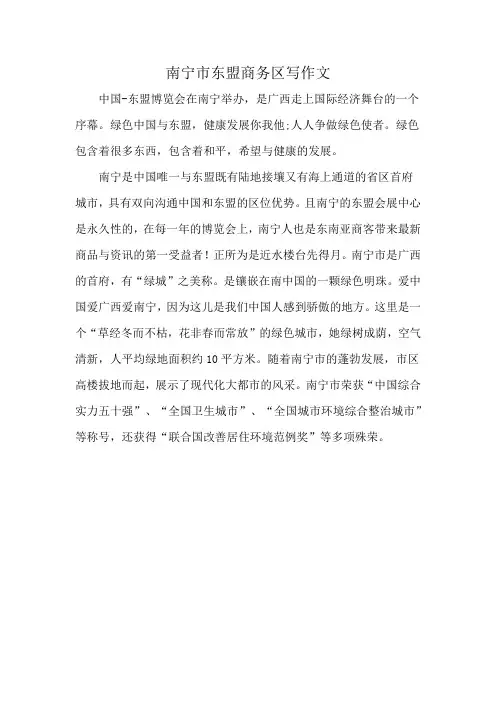 南宁市东盟商务区写作文
