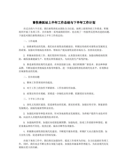 畜牧兽医站上半年工作总结与下半年工作计划