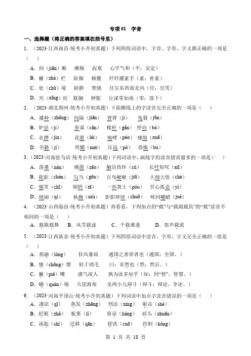 小升初语文复习 专题01 字音