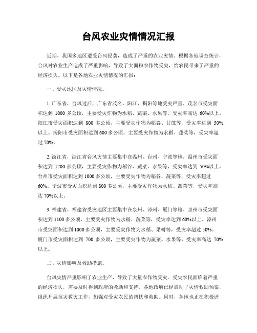 台风农业灾情情况汇报