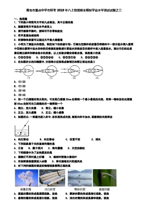 青岛市重点中学市联考2019年八上物理期末模拟学业水平测试试题之三