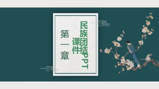 《民族团结》课件