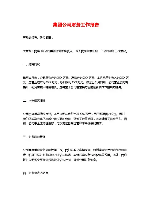 集团公司财务工作报告