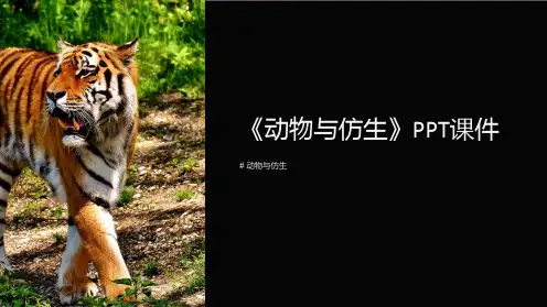 《动物与仿生》课件
