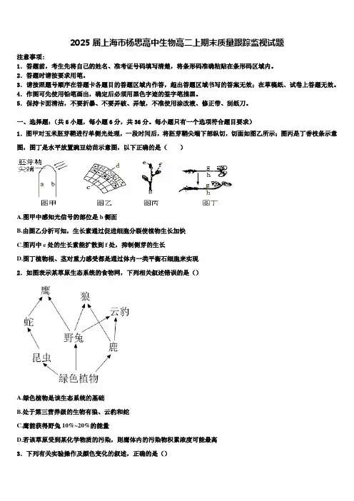 2025届上海市杨思高中生物高二上期末质量跟踪监视试题含解析