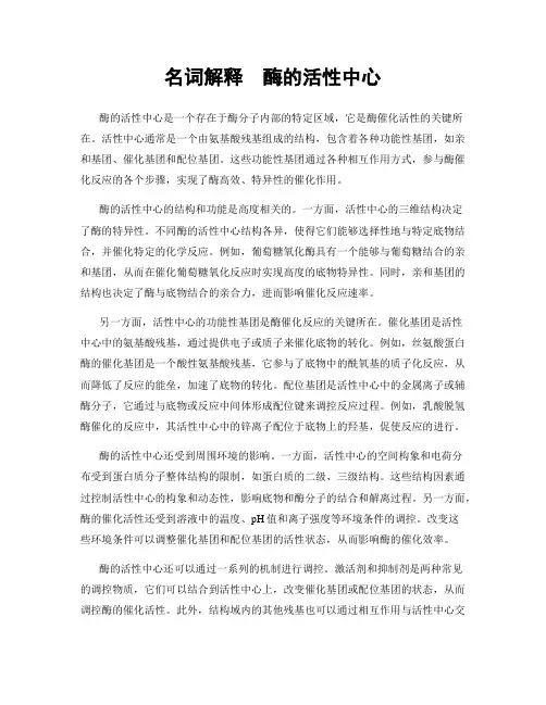 名词解释  酶的活性中心