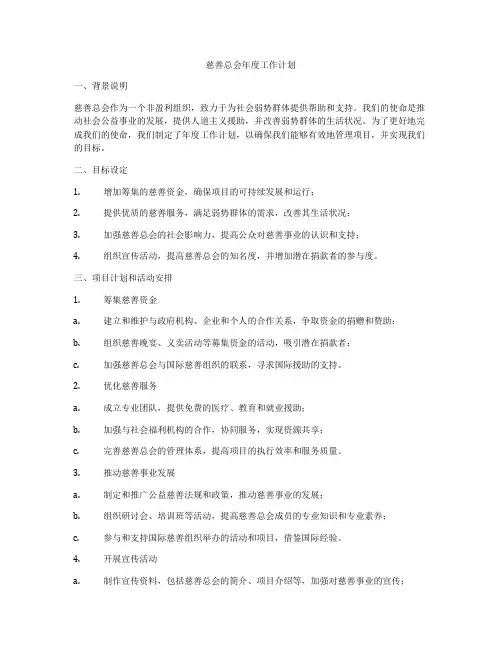 慈善总会年度工作计划