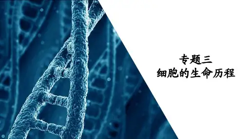 高中生物二轮复习课件：专题三 细胞的生命历程