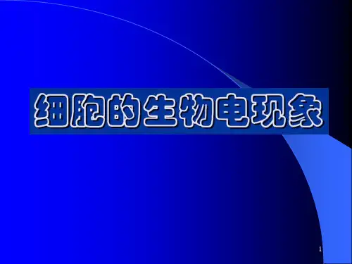 静息电位与动作电位-PPT课件