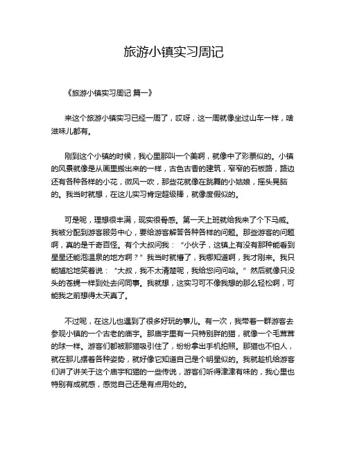 旅游小镇实习周记