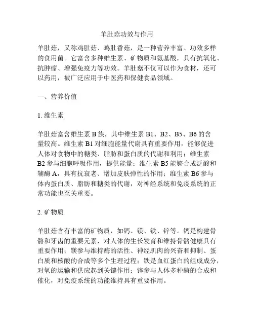 羊肚菇功效与作用
