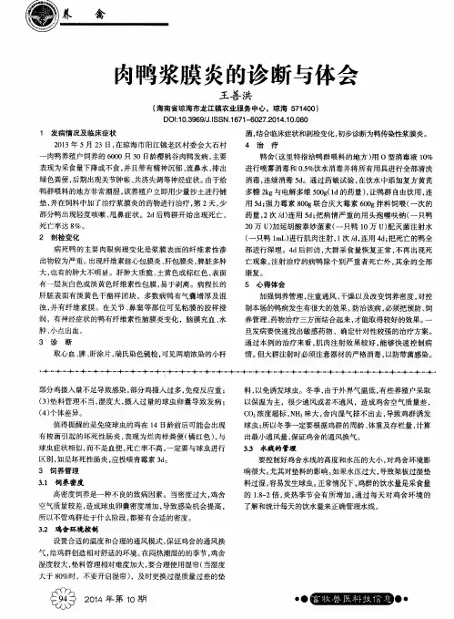 肉鸭浆膜炎的诊断与体会