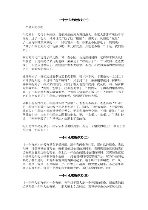 一个什么夜晚作文