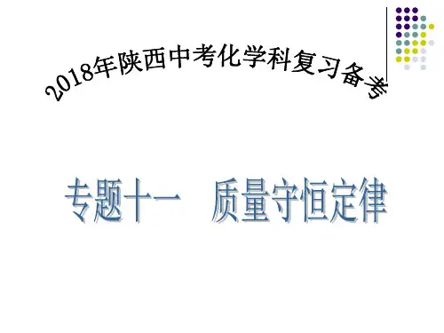 化学专题复习：质量守恒定律 (共17张PPT)