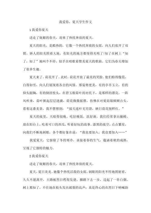 我爱你,夏天学生作文