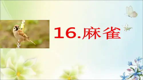 部编版小学四年级语文上册第16课《麻雀》公开课课件