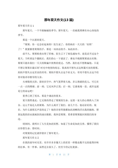那年夏天作文(13篇)