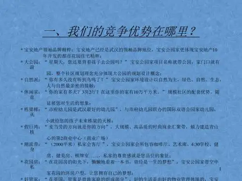 整合市场攻击策略PPT
