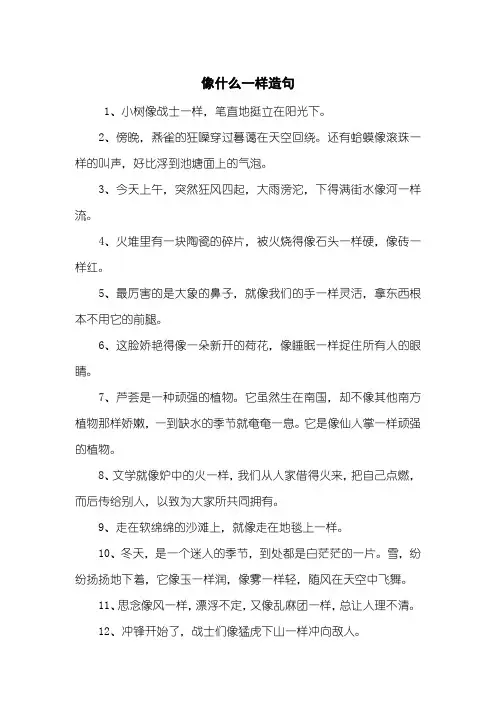 像什么一样造句