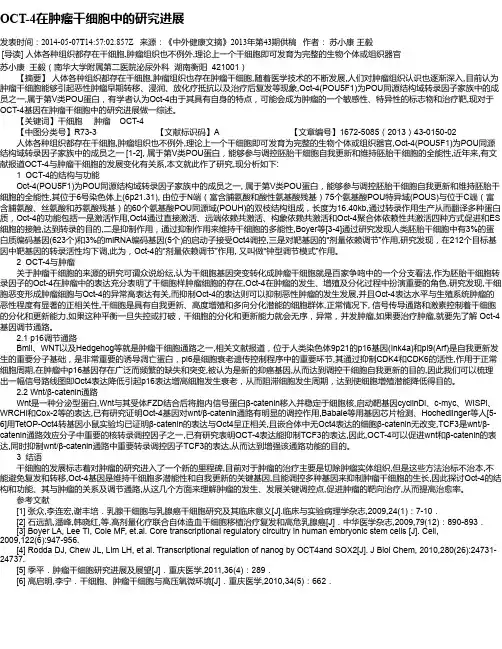 OCT-4在肿瘤干细胞中的研究进展