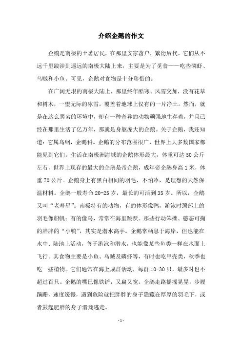 介绍企鹅的作文