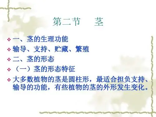 茎