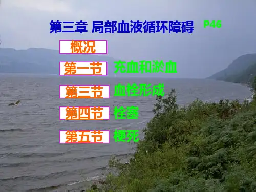 局部血液循环障碍(新版)PPT课件