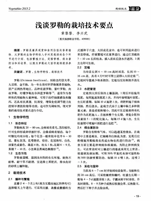 浅谈罗勒的栽培技术要点