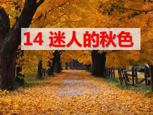 《迷人的秋色》PPT课件