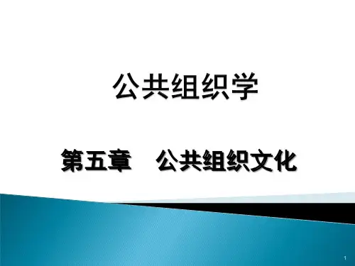 公共组织学第二版第五章公共组织文化ppt课件