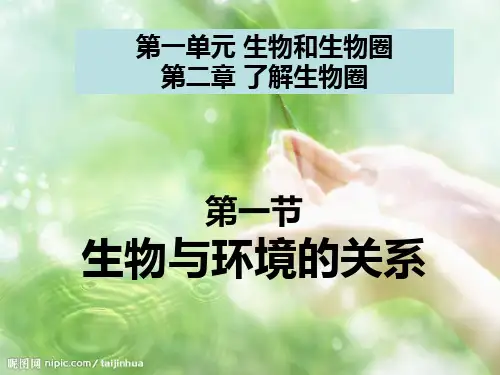 生物：第一单元第二章第一节_生物与环境的关系2课件(人教版七年级上)