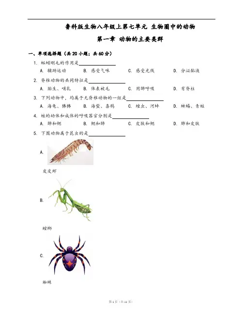 鲁科版生物八年级上册单元检测卷第七单元第一章 动物的主要类群(word版,含答案解析)