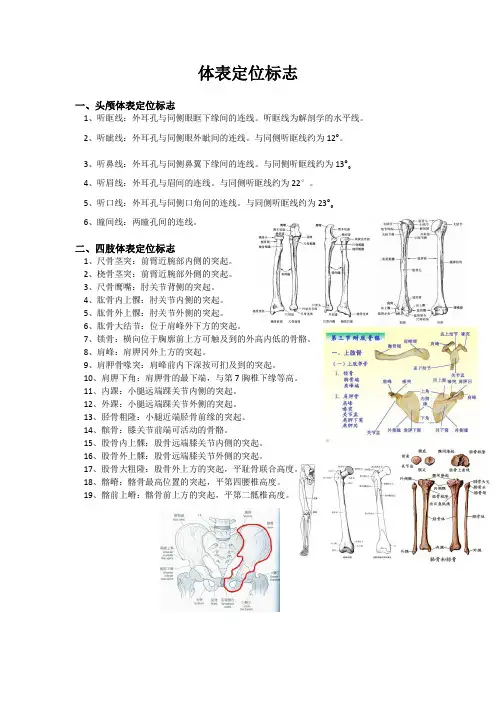 医学影像体表定位标志(必考内容)