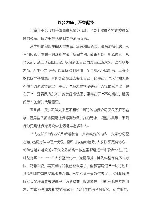 初一作文：以梦为马不负韶华作文600字