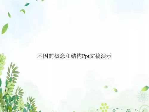 基因的概念和结构Ppt文稿演示